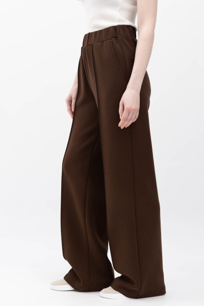 Брюки Коричневий Солюс 01