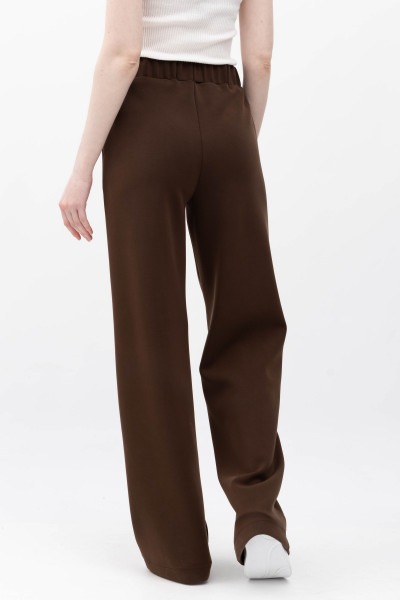 Брюки Коричневий Солюс 01