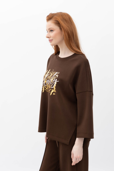 Світшот Коричневий Солюс 01