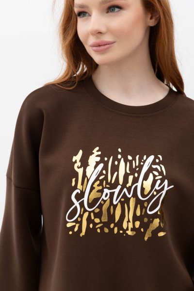 Світшот Коричневий Солюс 01